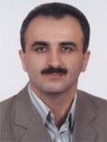 آقای دکتر حمیدرضا ابراهیمی ویشکی 