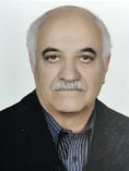 آقای مهندس حمید مستشاری